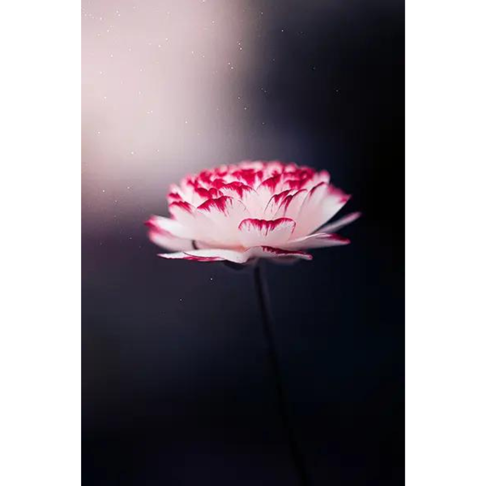 Design sans titre (10)