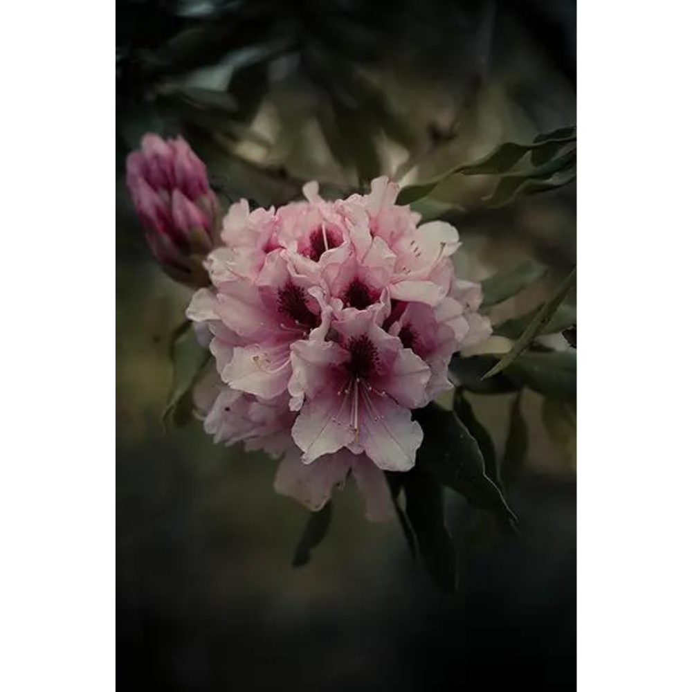 Design sans titre (3)