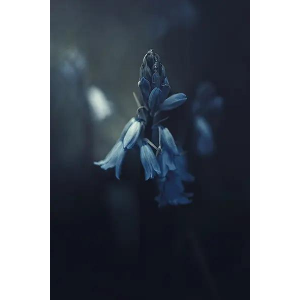 Design sans titre (4)