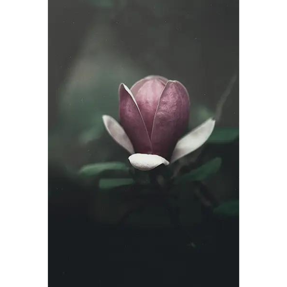 Design sans titre (5)