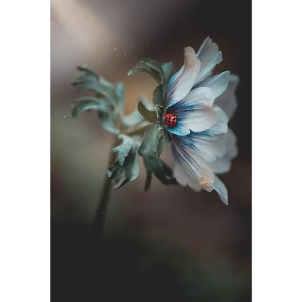 Design sans titre (8)